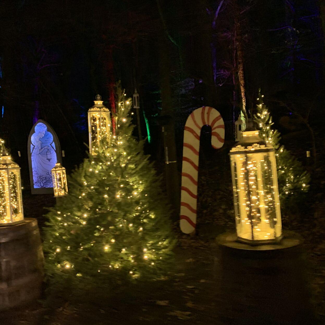 Winter Woods Spectacular (12).JPG